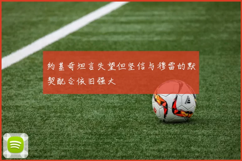 约基奇坦言失望但坚信与穆雷的默契配合依旧强大