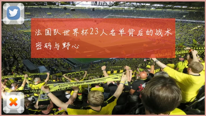 法国队世界杯23人名单背后的战术密码与野心