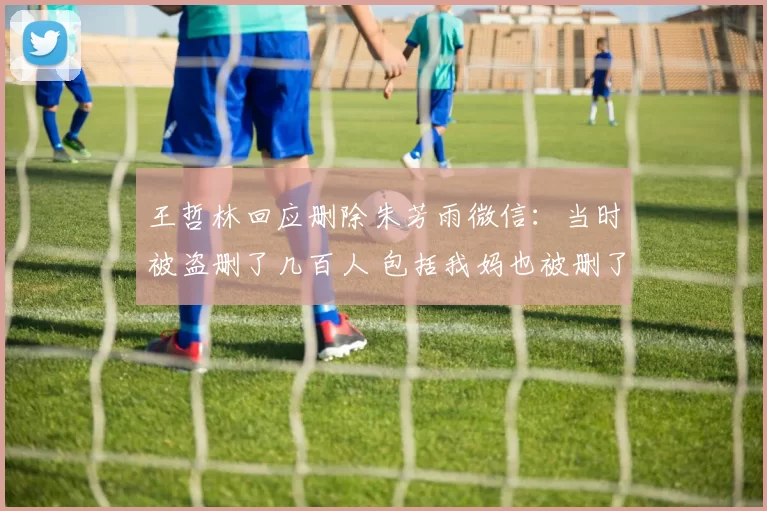 王哲林回应删除朱芳雨微信：当时被盗删了几百人 包括我妈也被删了
