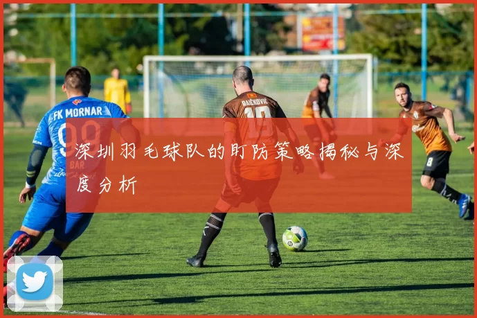 深圳羽毛球队的盯防策略揭秘与深度分析