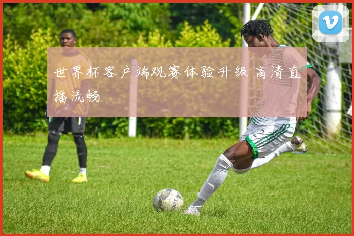 世界杯客户端观赛体验升级 高清直播流畅