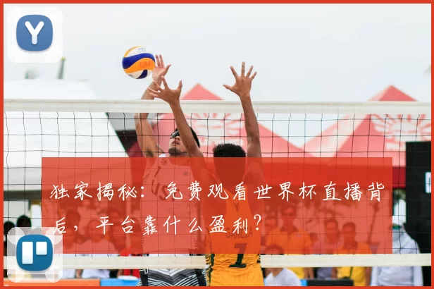 独家揭秘：免费观看世界杯直播背后，平台靠什么盈利？