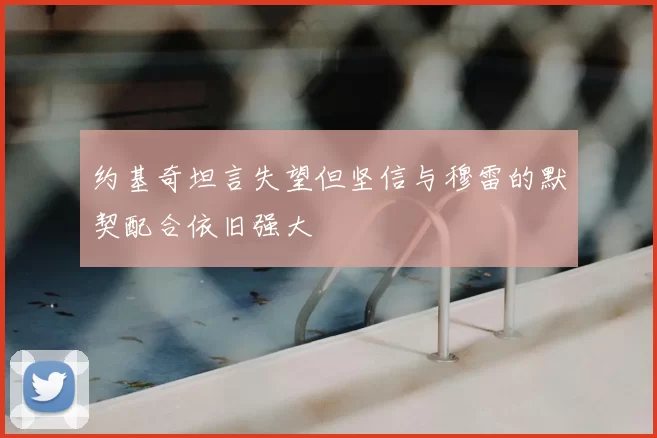 约基奇坦言失望但坚信与穆雷的默契配合依旧强大