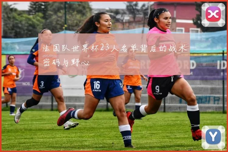 法国队世界杯23人名单背后的战术密码与野心