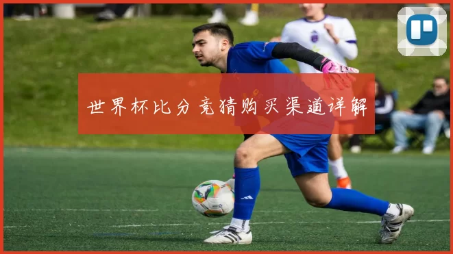 世界杯比分竞猜购买渠道详解