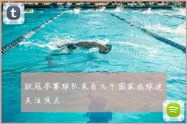 欧冠参赛球队来自几个国家成球迷关注焦点